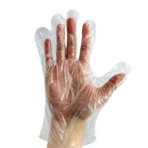 Disposable Food Service Gloves